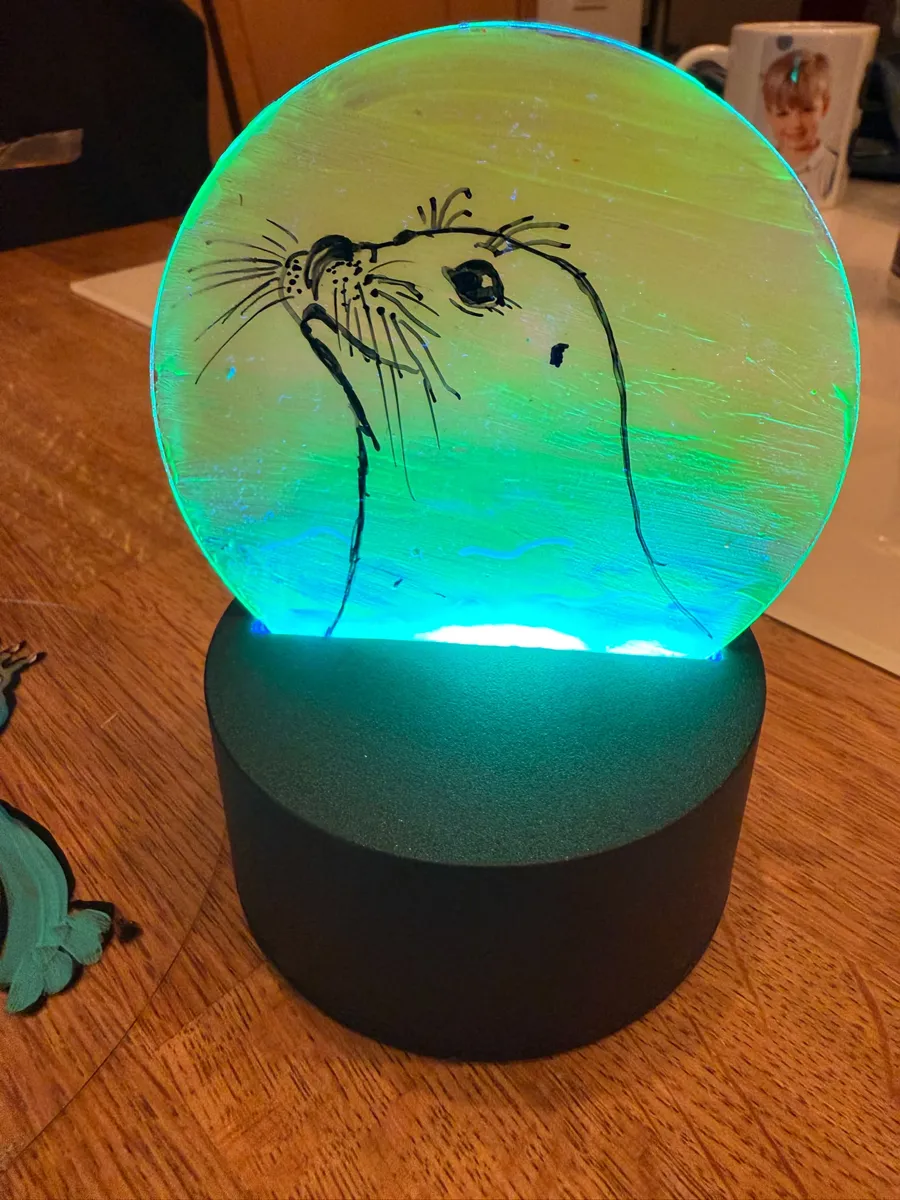 Beleuchtete Acrylplatte mit Robben-Motiv auf einem LED-Sockel