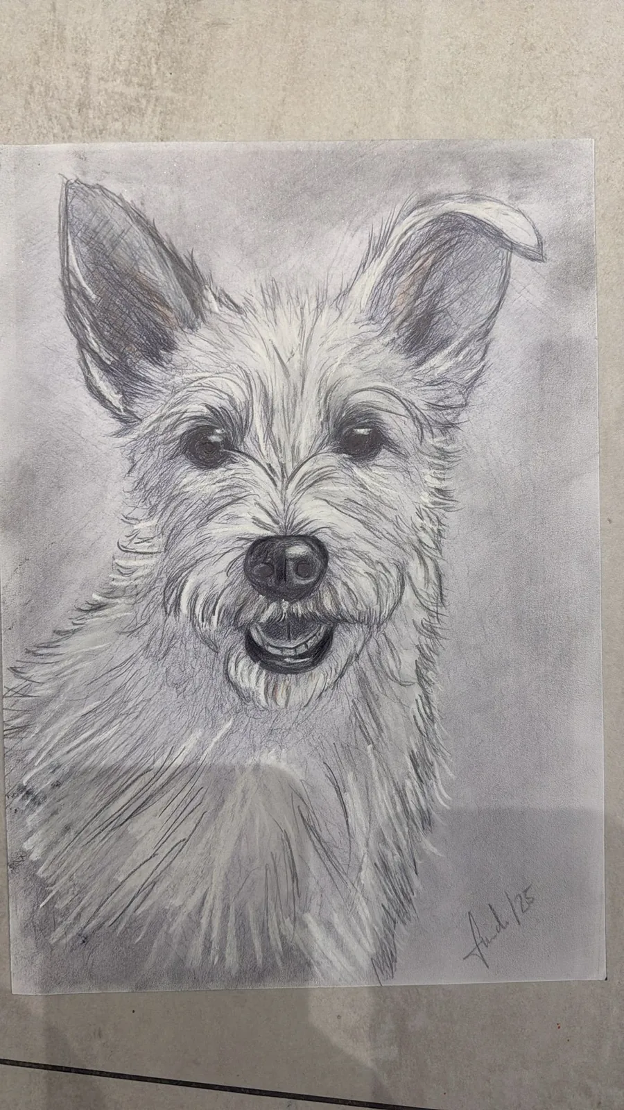 Terrier · Werk von Christina Finch
